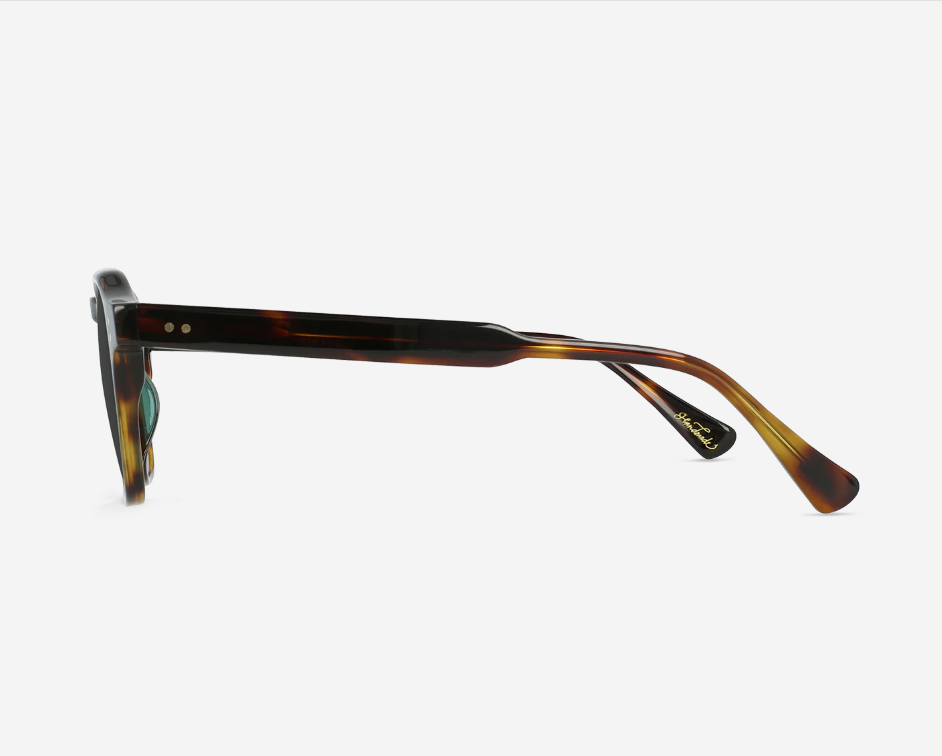 Raen Aren 53 - Kola Tortoise Polarized